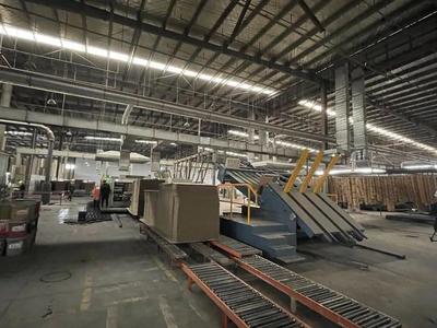 金山的她，榮登上海市表彰名單 紙制品銷售領域的卓越典范