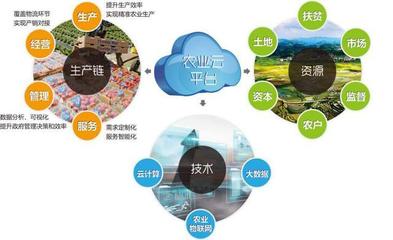 他山之石可以攻玉 借鑒美國(guó)農(nóng)業(yè)信息化經(jīng)驗(yàn)，以信息技術(shù)咨詢服務(wù)升級(jí)中國(guó)農(nóng)民